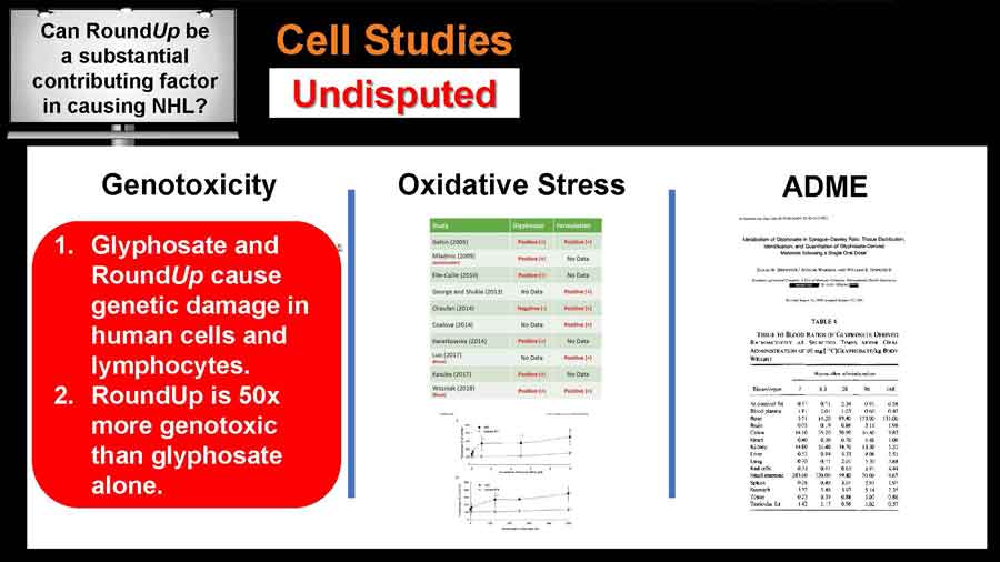 More cell studies